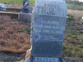 Nannie Nuton Waldrip Oliver