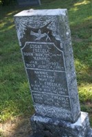 Nannie O Freedle