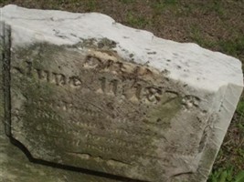 Naomi Douglas Stone
