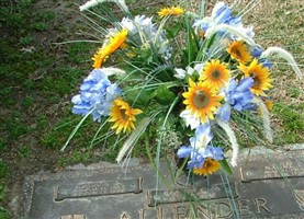 Naomi J. Allender Naomi J. Allender