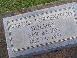 Narcisa Fortenberry Holmes