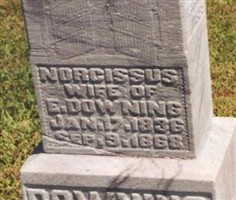 Narcisis Bales Downing Narcisis Bales Downing