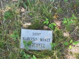 Narcisis Minet Mitchell