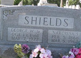 Narcissa Johnson Saltsman Shields