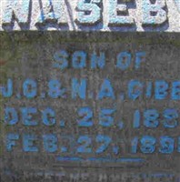 Naseby Gibbs
