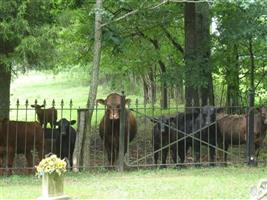 Nash Cemetery