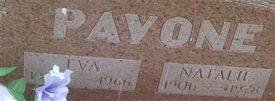 Natalia Pavone