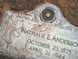Nathalie E. Anderson Nathalie E. Anderson