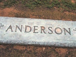 Nathalie E. Anderson Nathalie E. Anderson