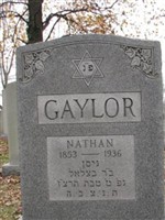 Nathan Gaylor