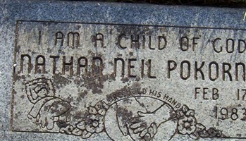 Nathan Neil Pokorny