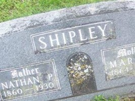 Nathan P Shipley Nathan P Shipley