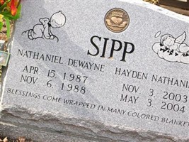 Nathaniel Dwayne Sipp