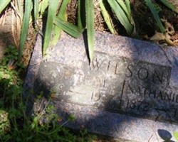 Nathaniel G Wilson