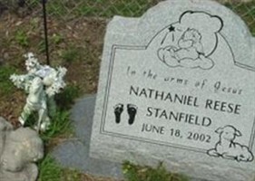 Nathaniel Reese Stanfield Nathaniel Reese Stanfield