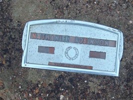 Nathaniel Robinson Nathaniel Robinson