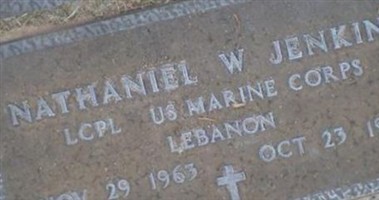 Nathaniel W. Jenkins