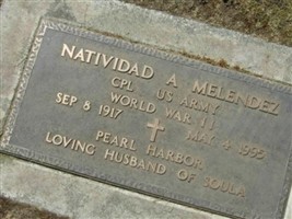 Natividad A Melendez