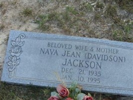 Nava Jean Davidson Jackson Nava Jean Davidson Jackson