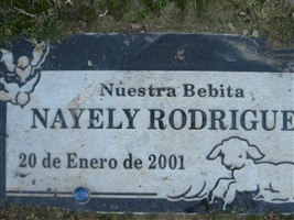 Nayely Rodriguez Nayely Rodriguez
