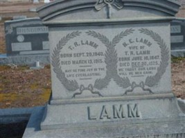 N. E. Lamm