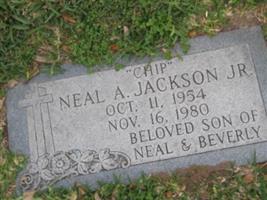 Neal Allen "CHIP" Jackson, Jr