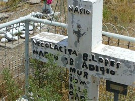 Necolacita B Lopes