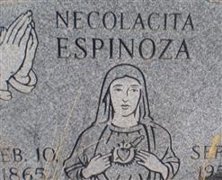 Necolacita Espinoza