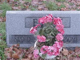 Ned D. Essex Ned D. Essex