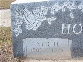 Ned H Hopkins