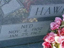 Ned Hawkins Ned Hawkins