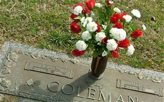 Ned M. Coleman