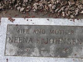 Neena B. Johnsen