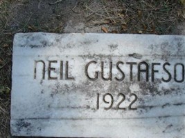 Neil Gustafson