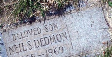 Neil S. Dedmon Neil S. Dedmon