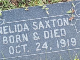 Nelida Saxton Nelida Saxton