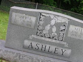 Nelle Lee Short Ashley Nelle Lee Short Ashley