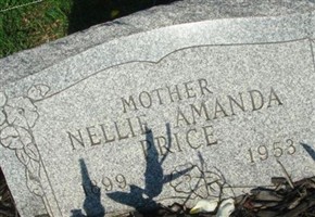 Nellie Amanda Saxton Price Nellie Amanda Saxton Price