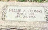 Nellie Anelia Thomas Briggs