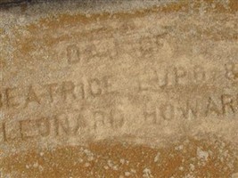 Nellie Beatrice Howard Nellie Beatrice Howard