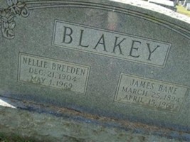 Nellie Breeden Blakey