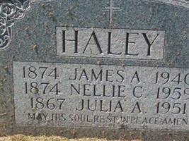 Nellie C Haley