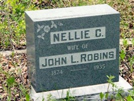 Nellie C Robins Nellie C Robins