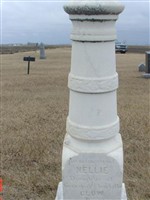 Nellie Clow Nellie Clow