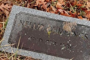 Nellie Cummings