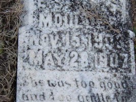 Nellie Elene Moulder Nellie Elene Moulder