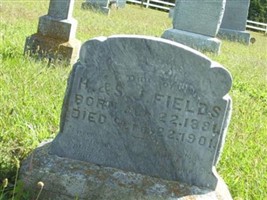 Nellie Elizabeth Fields Nellie Elizabeth Fields