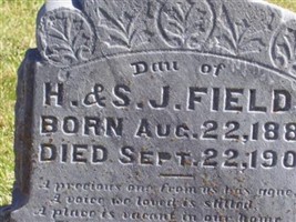 Nellie Elizabeth Fields Nellie Elizabeth Fields