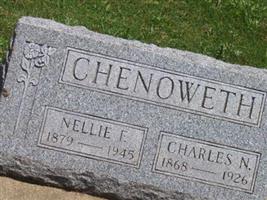 Nellie F. Chenoweth