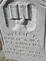 Nellie F. Vincent Nellie F. Vincent